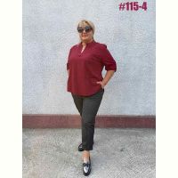 Купить Блузка BAT 115-4 wine на obuv-plus.com.ua