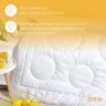 Купить Одеяло зимнее евро Air Dream Exclusive 200х220 см IDEIA двойное супер теплое дабл антиаллергенное на obuv-plus.com.ua