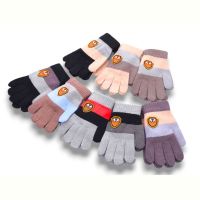 Купить Перчатки YLZL A12 mix-old-1 на obuv-plus.com.ua