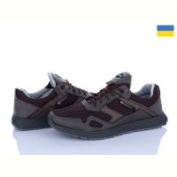 Купить Кроссовки Львов База Paolla Sport 2-3513 сітка коричневий на obuv-plus.com.ua