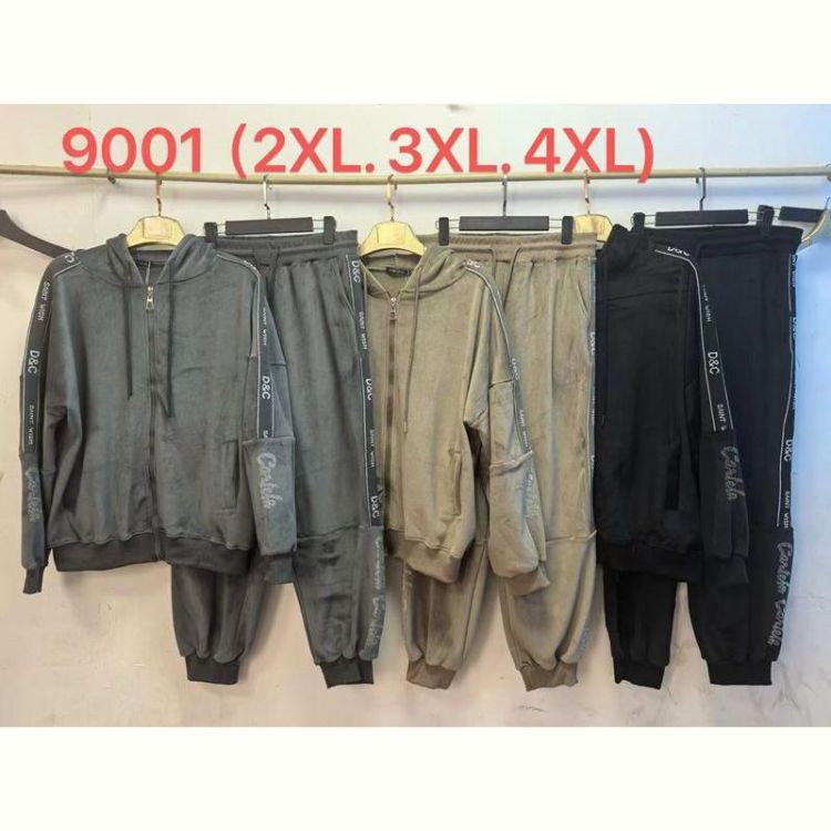 Купить Костюм спорт Saint Wish 9001 beige на obuv-plus.com.ua