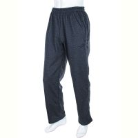 Купить Штаны спорт Denis sport Ni-k 1 grey на obuv-plus.com.ua