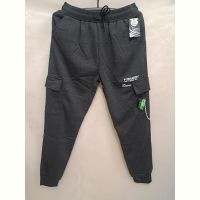 Купить Штаны спорт Giang 6076-1 grey на obuv-plus.com.ua