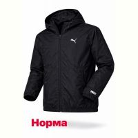 Купить Ветровка Alex Clothes 14128 black на obuv-plus.com.ua