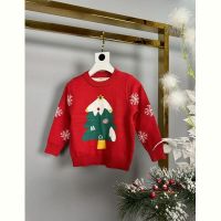 Купить Свитер Delfinka 9006 red на obuv-plus.com.ua