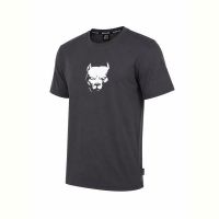 Купить Футболка Alex Clothes 14579 grey на obuv-plus.com.ua