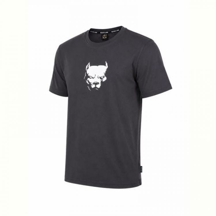 Купить Футболка Alex Clothes 14579 grey на obuv-plus.com.ua
