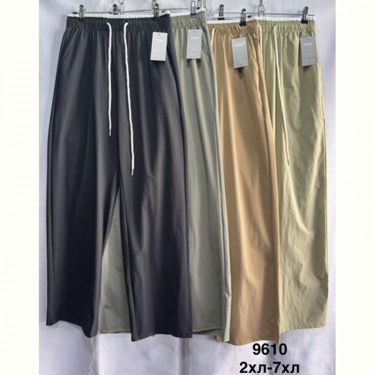 Купить Штаны Minh 9610 grey на obuv-plus.com.ua