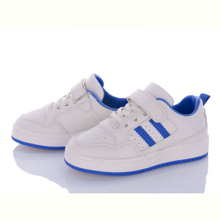 Купить Кроссовки Apawwa EC22 white-blue на obuv-plus.com.ua
