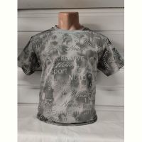 Купить Футболка Panda 1880 grey на obuv-plus.com.ua