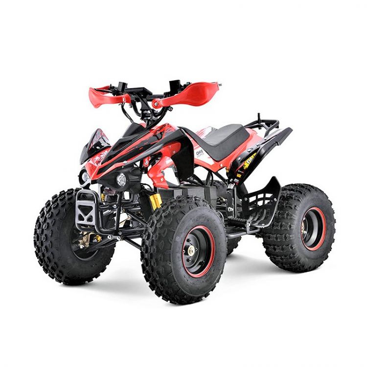 Купить Електричний квадроцикл для дорослих SN-EA62 ATV 48V 1000W з карданним валом на obuv-plus.com.ua