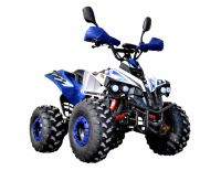Купить Електричний квадроцикл для дорослих із ланцюговим приводом SN-EA66 ATV 48V 1000W на obuv-plus.com.ua
