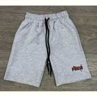 Купить Шорты MMZ M197 grey на obuv-plus.com.ua