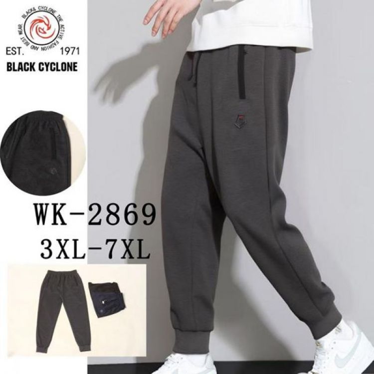 Купить Штаны спорт Giang WK2869 grey на obuv-plus.com.ua