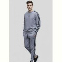 Купить Костюм спорт Zalov ZW1315 grey на obuv-plus.com.ua