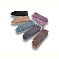 Купить Перчатки КОРОЛЕВА B13-98 кож.зам.плюш-сенс.mix на obuv-plus.com.ua
