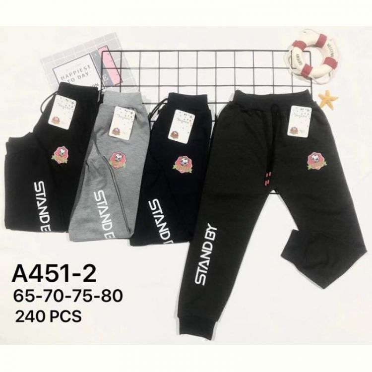Купить Штаны спорт Redoor A451-2 mix на obuv-plus.com.ua