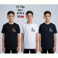 Купить Футболка AMZ T8-3 black-white на obuv-plus.com.ua