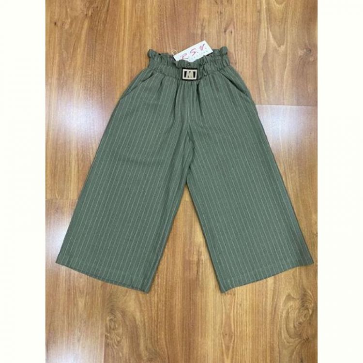 Купить Штаны RSV 102 green на obuv-plus.com.ua