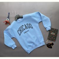 Купить Свитер Verton 156 l.blue на obuv-plus.com.ua