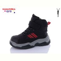 Купить Ботинки GFB F2532-1 на obuv-plus.com.ua