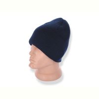 Купить Шапка Red Hat clothes Y131-2 blue на obuv-plus.com.ua
