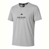 Купить Футболка Alex Clothes 14478 grey на obuv-plus.com.ua