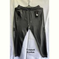 Купить Штаны спорт Minh 3009 grey на obuv-plus.com.ua