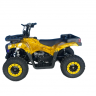 Купить SN-A58 Дитячий квадроцикл ATV 49cc бензин на obuv-plus.com.ua