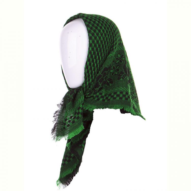 Купить Платок Shawls P305 green на obuv-plus.com.ua