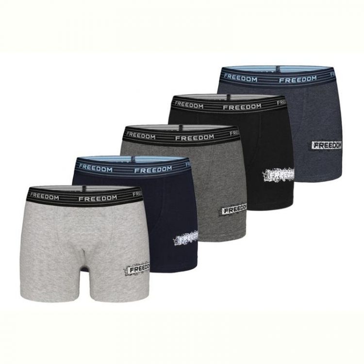 Купить Трусы Disneyopt kids DS291-8024 mix (6-7) на obuv-plus.com.ua