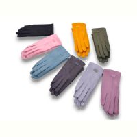 Купить Перчатки YLZL ZT161 mix на obuv-plus.com.ua