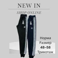 Купить Штаны спорт Phi Hung P47 navy на obuv-plus.com.ua