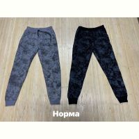 Купить Штаны спорт Navas NW180 grey на obuv-plus.com.ua