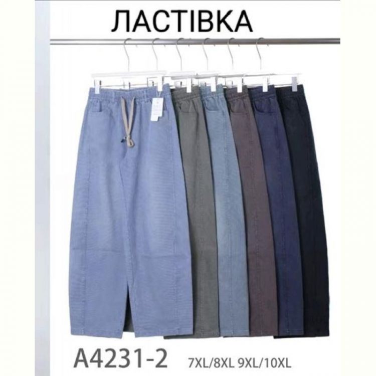 Купить Штаны Hoan 4231-2 mix на obuv-plus.com.ua