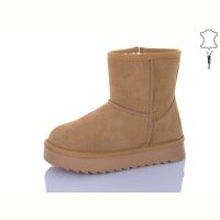 Купить Угги Bashili G5906-20 на obuv-plus.com.ua
