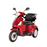 Купить SN-ES01 Дорослий електричний триколісний електросамокат 60V 1000W на obuv-plus.com.ua
