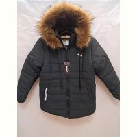 Купить Куртка Giang GN16 d.grey на obuv-plus.com.ua
