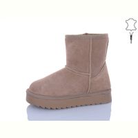 Купить Угги Bashili G5906-18 на obuv-plus.com.ua