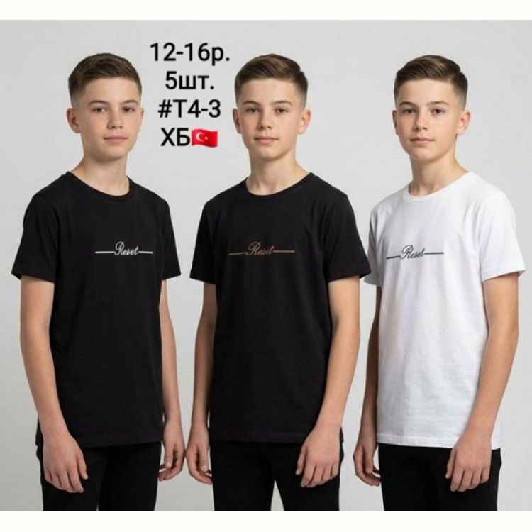 Купить Футболка AMZ T4-3 black-white на obuv-plus.com.ua