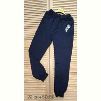 Купить Штаны спорт Sport style 22 navy-old-2 на obuv-plus.com.ua