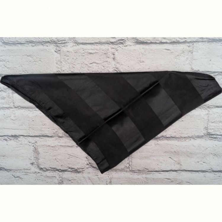 Купить Шарф Shawls P160 black на obuv-plus.com.ua