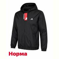 Купить Ветровка Alex Clothes 14157 black на obuv-plus.com.ua