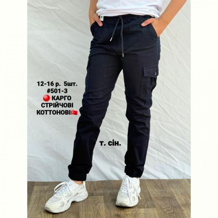 Купить Джоггеры AMZ 501-3 navy на obuv-plus.com.ua