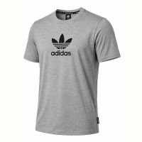 Купить Футболка Alex Clothes 14493 grey на obuv-plus.com.ua