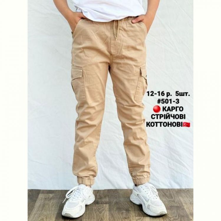 Купить Джоггеры AMZ 501-3 beige на obuv-plus.com.ua