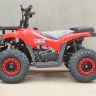 Купить SN-A58 Дитячий квадроцикл ATV 49cc бензин на obuv-plus.com.ua