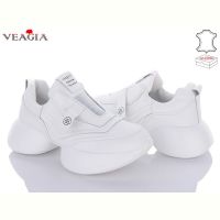 Купить Кроссовки Veagia F899-3 на obuv-plus.com.ua