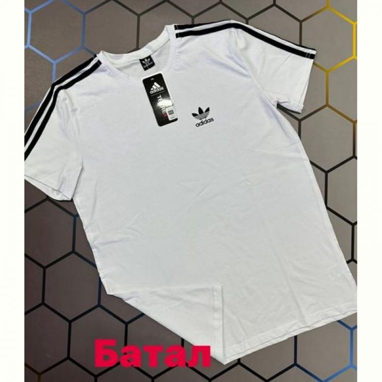 Купить Футболка Alex Clothes 13401 white на obuv-plus.com.ua