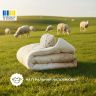 Купить Одеяло шерстяное Woolly 200х220 см IDEIA 400 гр/м2 зимнее, теплое, натуральное, овечья шерсть на obuv-plus.com.ua